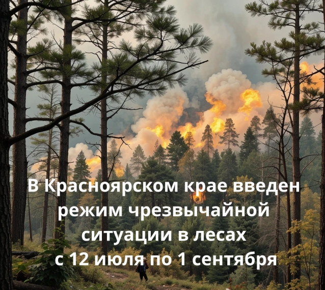 В Красноярском крае введен режим чрезвычайной ситуации в лесах. В Красноярском крае введен режим чрезвычайной ситуации в лесах.